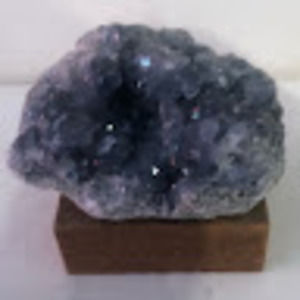 Meet your Posher, Kora